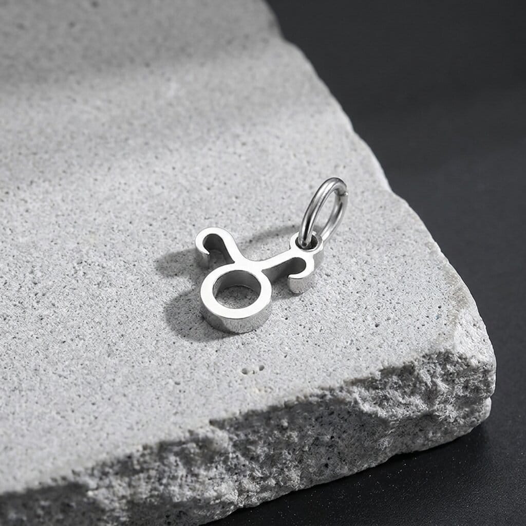 Pendentif Signe Astrologique Homme Argent Breloque