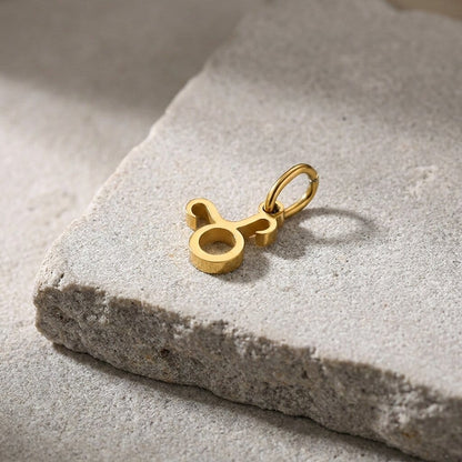 Pendentif Signe Astrologique Homme Or Breloque